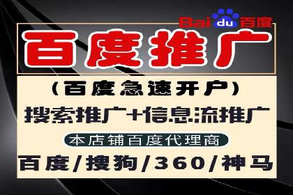 百度推广公司案例分析：精准定位，助力企业精准营销